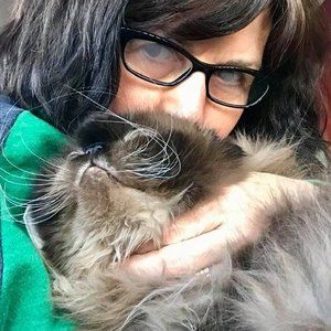 Meet your Posher, Marlene